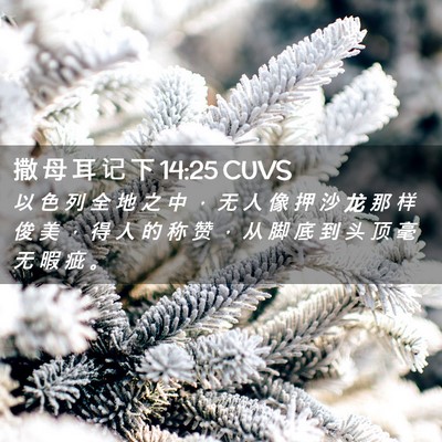Picture 02 - 撒 母 耳 记 下 14:25 CUVS - 以 色 列 全 地 之 中 ， 无 人 像 押 - Bible Verse Picture