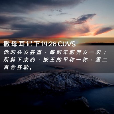 Picture 02 - 撒 母 耳 记 下 14:26 CUVS - 他 的 头 发 甚 重 ， 每 到 年 底 剪 - Bible Verse Picture