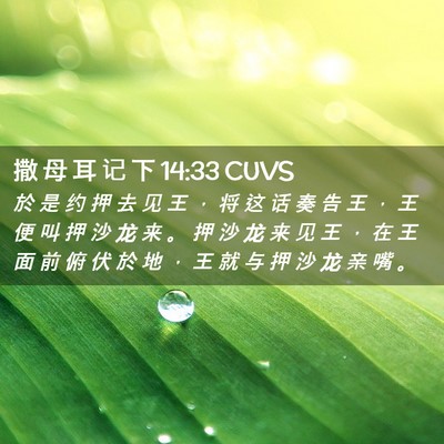 Picture 02 - 撒 母 耳 记 下 14:33 CUVS - 於 是 约 押 去 见 王 ， 将 这 话 奏 - Bible Verse Picture