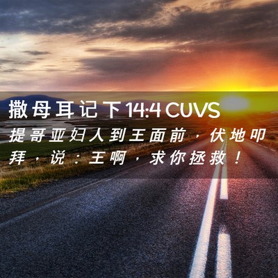 Picture 02 - 撒 母 耳 记 下 14:4 CUVS - 提 哥 亚 妇 人 到 王 面 前 ， 伏 地 - Bible Verse Picture