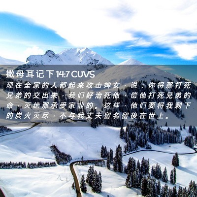 Picture 02 - 撒 母 耳 记 下 14:7 CUVS - 现 在 全 家 的 人 都 起 来 攻 击 婢 - Bible Verse Picture