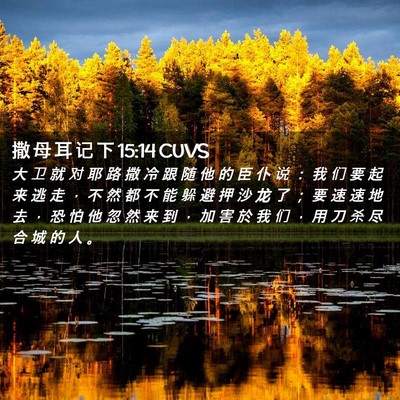 Picture 02 - 撒 母 耳 记 下 15:14 CUVS - 大 卫 就 对 耶 路 撒 冷 跟 随 他 的 - Bible Verse Picture