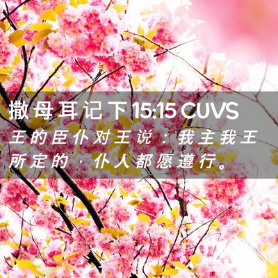 Picture 02 - 撒 母 耳 记 下 15:15 CUVS - 王 的 臣 仆 对 王 说 ： 我 主 我 王 - Bible Verse Picture