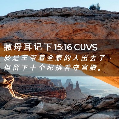 Picture 02 - 撒 母 耳 记 下 15:16 CUVS - 於 是 王 带 着 全 家 的 人 出 去 了 - Bible Verse Picture