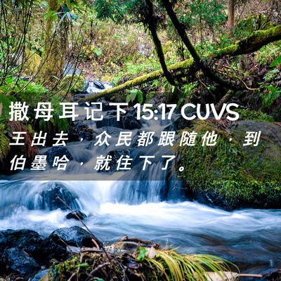 Picture 02 - 撒 母 耳 记 下 15:17 CUVS - 王 出 去 ， 众 民 都 跟 随 他 ， 到 - Bible Verse Picture