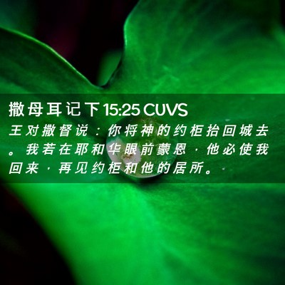 Picture 02 - 撒 母 耳 记 下 15:25 CUVS - 王 对 撒 督 说 ： 你 将 神 的 约 柜 - Bible Verse Picture