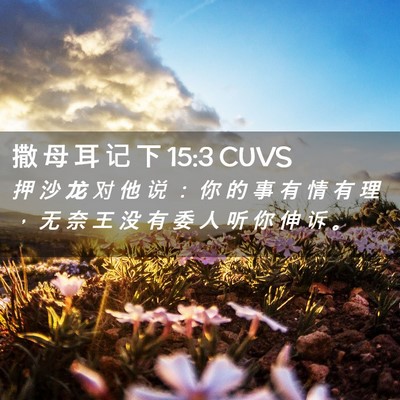 Picture 02 - 撒 母 耳 记 下 15:3 CUVS - 押 沙 龙 对 他 说 ： 你 的 事 有 情 - Bible Verse Picture