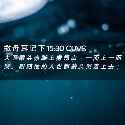 Picture 02 - 撒 母 耳 记 下 15:30 CUVS - 大 卫 蒙 头 赤 脚 上 橄 榄 山 ， 一 - Bible Verse Picture
