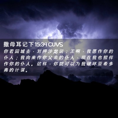 Picture 02 - 撒 母 耳 记 下 15:34 CUVS - 你 若 回 城 去 ， 对 押 沙 龙 说 ： - Bible Verse Picture