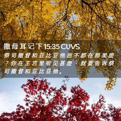 Picture 02 - 撒 母 耳 记 下 15:35 CUVS - 祭 司 撒 督 和 亚 比 亚 他 岂 不 都 - Bible Verse Picture