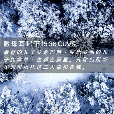 Picture 02 - 撒 母 耳 记 下 15:36 CUVS - 撒 督 的 儿 子 亚 希 玛 斯 ， 亚 比 - Bible Verse Picture