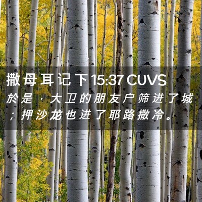 Picture 02 - 撒 母 耳 记 下 15:37 CUVS - 於 是 ， 大 卫 的 朋 友 户 筛 进 了 - Bible Verse Picture