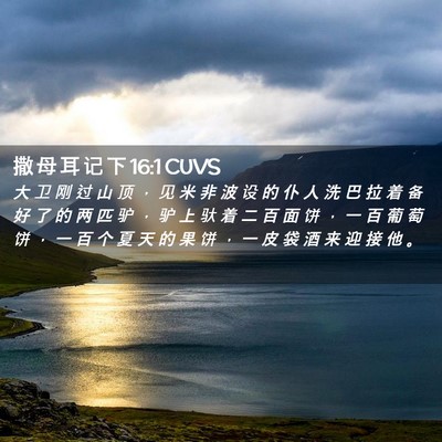 Picture 02 - 撒 母 耳 记 下 16:1 CUVS - 大 卫 刚 过 山 顶 ， 见 米 非 波 设 - Bible Verse Picture