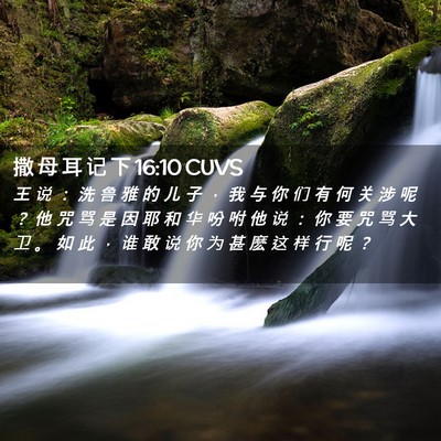 Picture 02 - 撒 母 耳 记 下 16:10 CUVS - 王 说 ： 洗 鲁 雅 的 儿 子 ， 我 与 - Bible Verse Picture