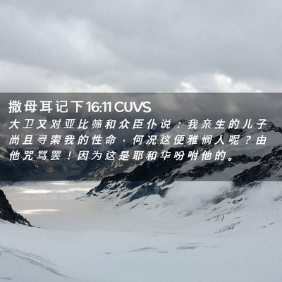 Picture 02 - 撒 母 耳 记 下 16:11 CUVS - 大 卫 又 对 亚 比 筛 和 众 臣 仆 说 - Bible Verse Picture