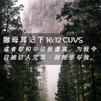 Picture 02 - 撒 母 耳 记 下 16:12 CUVS - 或 者 耶 和 华 见 我 遭 难 ， 为 我 - Bible Verse Picture
