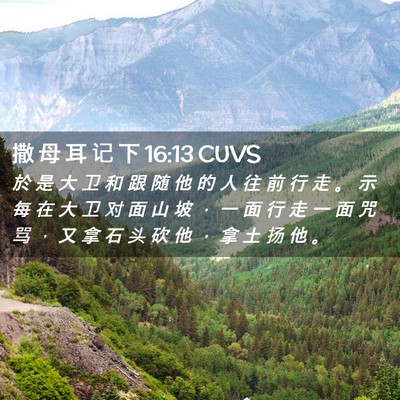 Picture 02 - 撒 母 耳 记 下 16:13 CUVS - 於 是 大 卫 和 跟 随 他 的 人 往 前 - Bible Verse Picture