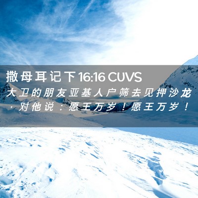 Picture 02 - 撒 母 耳 记 下 16:16 CUVS - 大 卫 的 朋 友 亚 基 人 户 筛 去 见 - Bible Verse Picture
