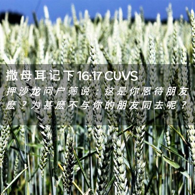 Picture 02 - 撒 母 耳 记 下 16:17 CUVS - 押 沙 龙 问 户 筛 说 ： 这 是 你 恩 - Bible Verse Picture