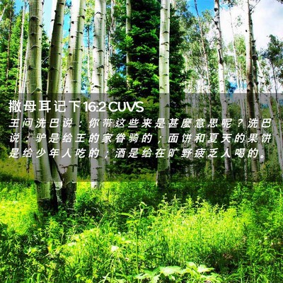 Picture 02 - 撒 母 耳 记 下 16:2 CUVS - 王 问 洗 巴 说 ： 你 带 这 些 来 是 - Bible Verse Picture