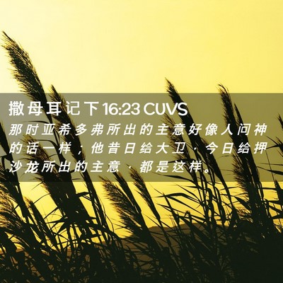 Picture 02 - 撒 母 耳 记 下 16:23 CUVS - 那 时 亚 希 多 弗 所 出 的 主 意 好 - Bible Verse Picture