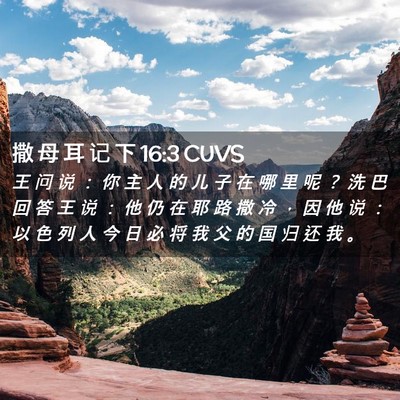 Picture 02 - 撒 母 耳 记 下 16:3 CUVS - 王 问 说 ： 你 主 人 的 儿 子 在 哪 - Bible Verse Picture