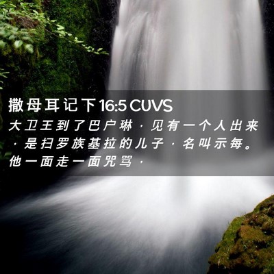 Picture 02 - 撒 母 耳 记 下 16:5 CUVS - 大 卫 王 到 了 巴 户 琳 ， 见 有 一 - Bible Verse Picture