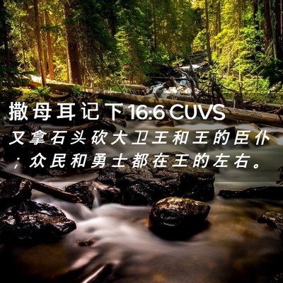 Picture 02 - 撒 母 耳 记 下 16:6 CUVS - 又 拿 石 头 砍 大 卫 王 和 王 的 臣 - Bible Verse Picture