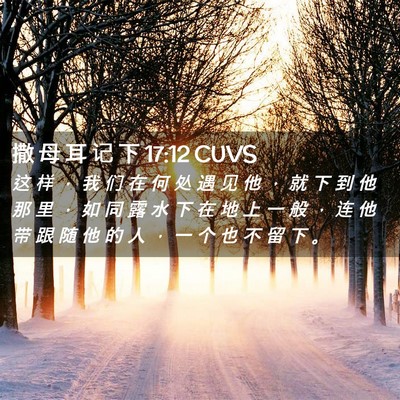 Picture 02 - 撒 母 耳 记 下 17:12 CUVS - 这 样 ， 我 们 在 何 处 遇 见 他 ， - Bible Verse Picture