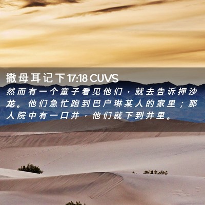 Picture 02 - 撒 母 耳 记 下 17:18 CUVS - 然 而 有 一 个 童 子 看 见 他 们 ， - Bible Verse Picture