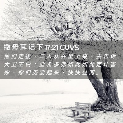 Picture 02 - 撒 母 耳 记 下 17:21 CUVS - 他 们 走 後 ， 二 人 从 井 里 上 来 - Bible Verse Picture