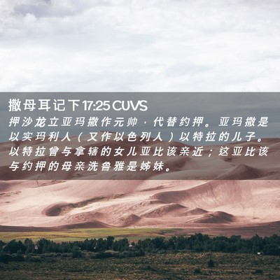 Picture 02 - 撒 母 耳 记 下 17:25 CUVS - 押 沙 龙 立 亚 玛 撒 作 元 帅 ， 代 - Bible Verse Picture