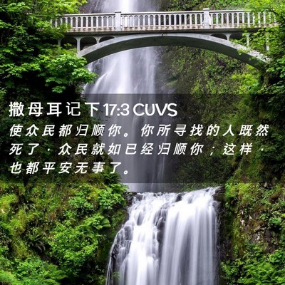 Picture 02 - 撒 母 耳 记 下 17:3 CUVS - 使 众 民 都 归 顺 你 。 你 所 寻 找 - Bible Verse Picture