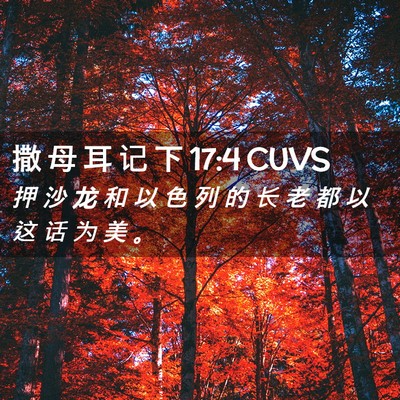 Picture 02 - 撒 母 耳 记 下 17:4 CUVS - 押 沙 龙 和 以 色 列 的 长 老 都 以 - Bible Verse Picture