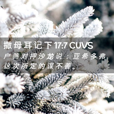Picture 02 - 撒 母 耳 记 下 17:7 CUVS - 户 筛 对 押 沙 龙 说 ： 亚 希 多 弗 - Bible Verse Picture