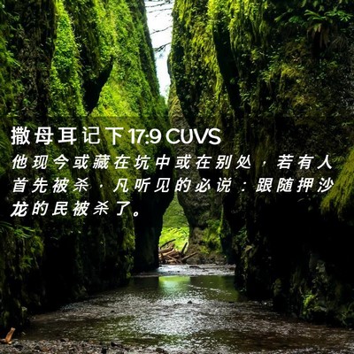 Picture 02 - 撒 母 耳 记 下 17:9 CUVS - 他 现 今 或 藏 在 坑 中 或 在 别 处 - Bible Verse Picture