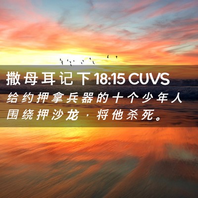 Picture 02 - 撒 母 耳 记 下 18:15 CUVS - 给 约 押 拿 兵 器 的 十 个 少 年 人 - Bible Verse Picture