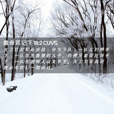 Picture 02 - 撒 母 耳 记 下 18:2 CUVS - 大 卫 打 发 军 兵 出 战 ， 分 为 三 - Bible Verse Picture