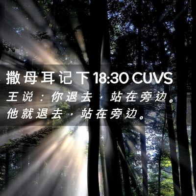Picture 02 - 撒 母 耳 记 下 18:30 CUVS - 王 说 ： 你 退 去 ， 站 在 旁 边 。 - Bible Verse Picture