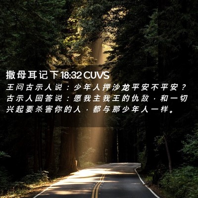 Picture 02 - 撒 母 耳 记 下 18:32 CUVS - 王 问 古 示 人 说 ： 少 年 人 押 沙 - Bible Verse Picture