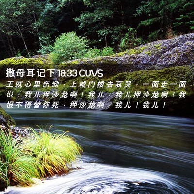 Picture 02 - 撒 母 耳 记 下 18:33 CUVS - 王 就 心 里 伤 恸 ， 上 城 门 楼 去 - Bible Verse Picture