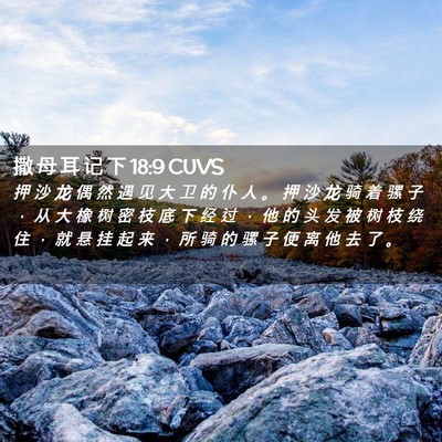 Picture 02 - 撒 母 耳 记 下 18:9 CUVS - 押 沙 龙 偶 然 遇 见 大 卫 的 仆 人 - Bible Verse Picture
