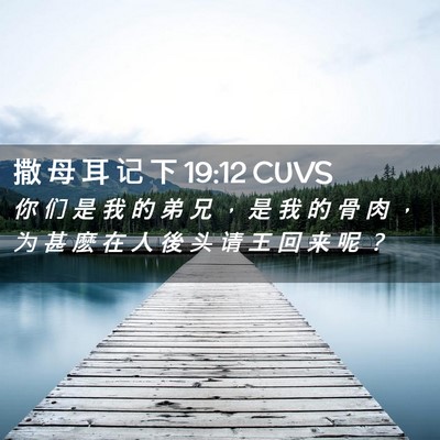 Picture 02 - 撒 母 耳 记 下 19:12 CUVS - 你 们 是 我 的 弟 兄 ， 是 我 的 骨 - Bible Verse Picture