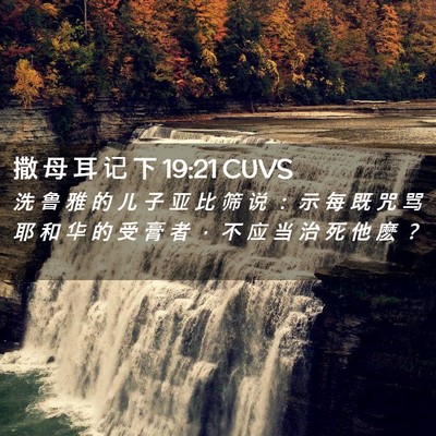 Picture 02 - 撒 母 耳 记 下 19:21 CUVS - 洗 鲁 雅 的 儿 子 亚 比 筛 说 ： 示 - Bible Verse Picture