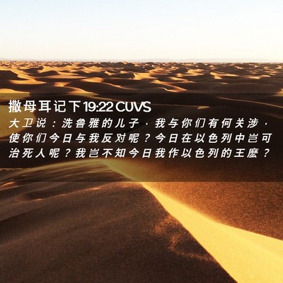 Picture 02 - 撒 母 耳 记 下 19:22 CUVS - 大 卫 说 ： 洗 鲁 雅 的 儿 子 ， 我 - Bible Verse Picture