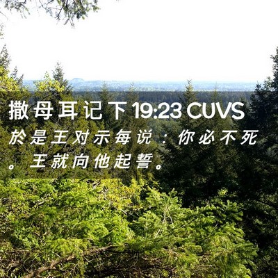 Picture 02 - 撒 母 耳 记 下 19:23 CUVS - 於 是 王 对 示 每 说 ： 你 必 不 死 - Bible Verse Picture