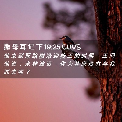 Picture 02 - 撒 母 耳 记 下 19:25 CUVS - 他 来 到 耶 路 撒 冷 迎 接 王 的 时 - Bible Verse Picture