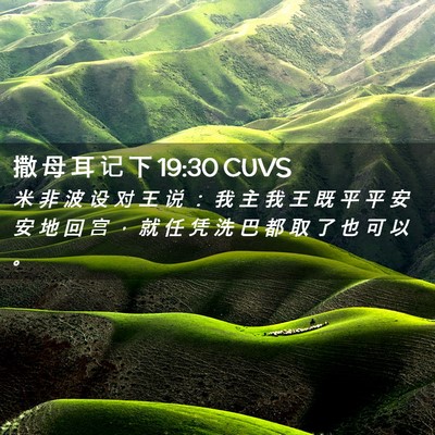 Picture 02 - 撒 母 耳 记 下 19:30 CUVS - 米 非 波 设 对 王 说 ： 我 主 我 王 - Bible Verse Picture