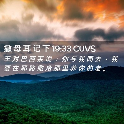 Picture 02 - 撒 母 耳 记 下 19:33 CUVS - 王 对 巴 西 莱 说 ： 你 与 我 同 去 - Bible Verse Picture