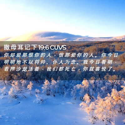Picture 02 - 撒 母 耳 记 下 19:6 CUVS - 你 却 爱 那 恨 你 的 人 ， 恨 那 爱 - Bible Verse Picture
